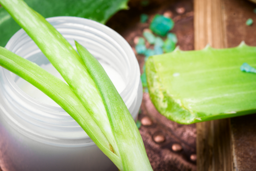 Recepty s aloe vera gelem